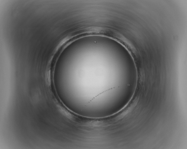 X0000113271075200909101514