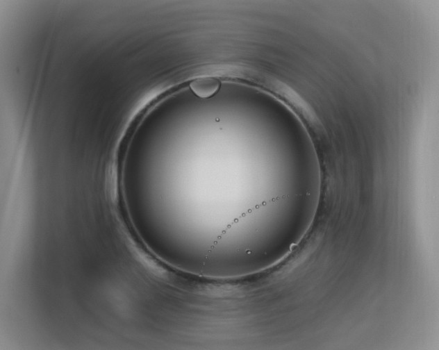 X0000113271079200909101514