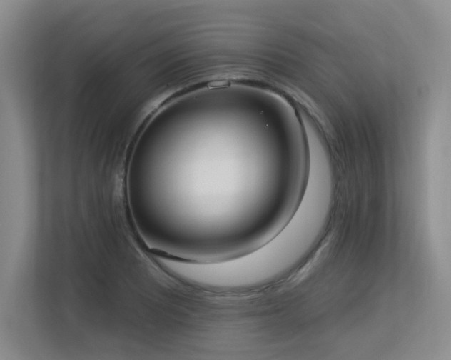 X0000113271081200909101514