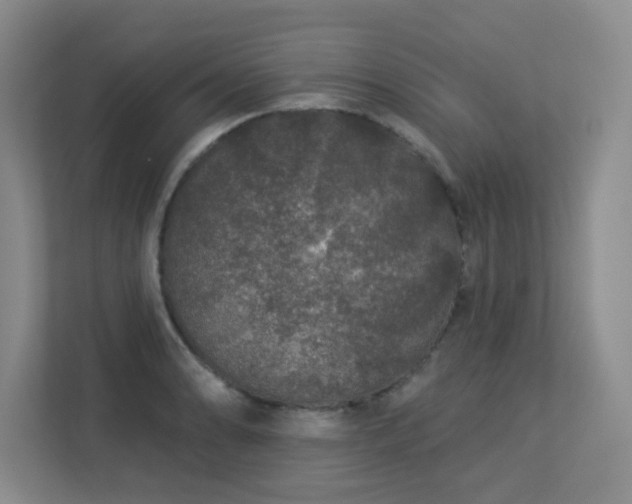 X0000113271086200909101514