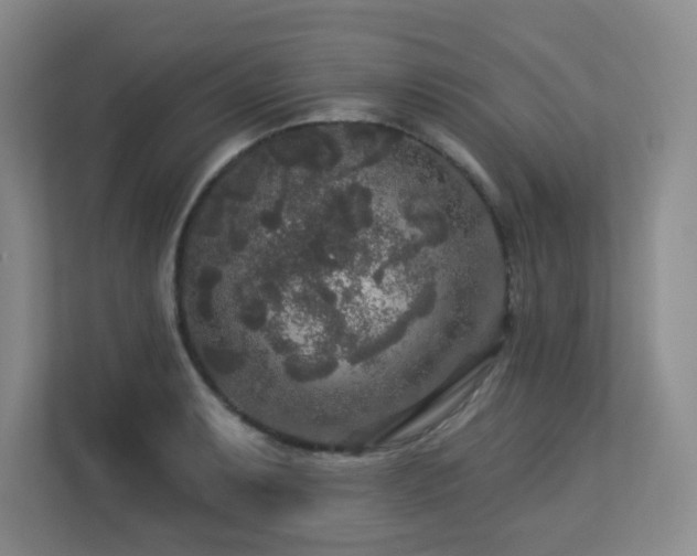 X0000113271087200909101514