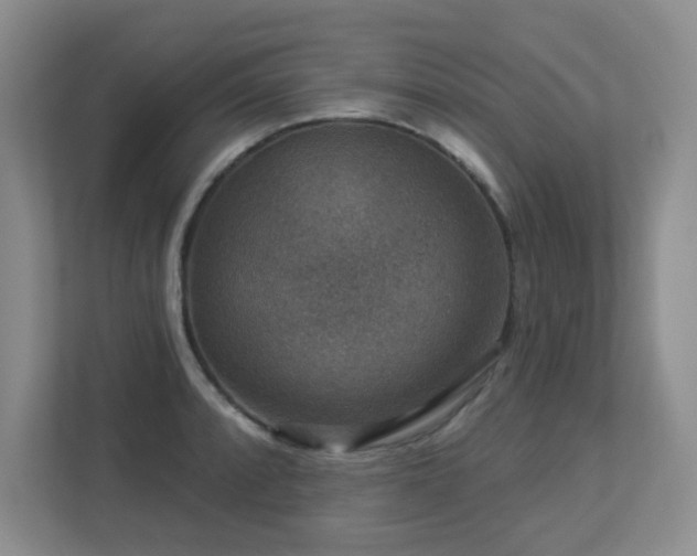 X0000113271088200909101514