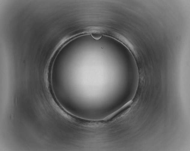 X0000113271091200909101514
