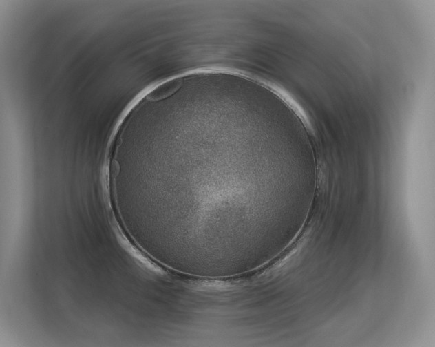 X0000113271100200909101514