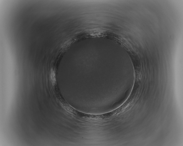 X0000113271106200909101513