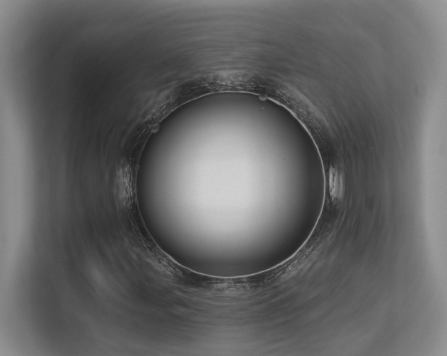 X0000113271107200909101513