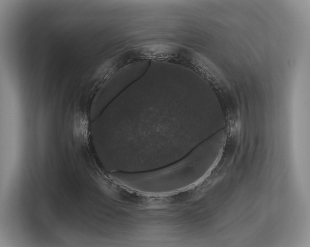 X0000113271108200909101513