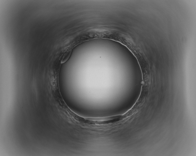 X0000113271109200909101513