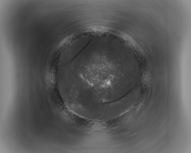 X0000113271110200909101513
