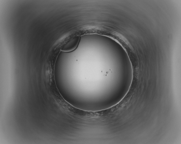 X0000113271111200909101513