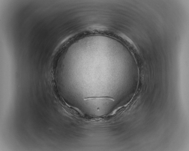 X0000113271112200909101513