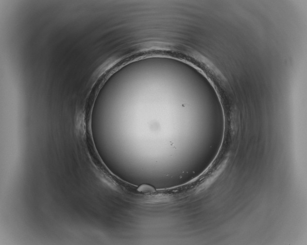X0000113271113200909101513
