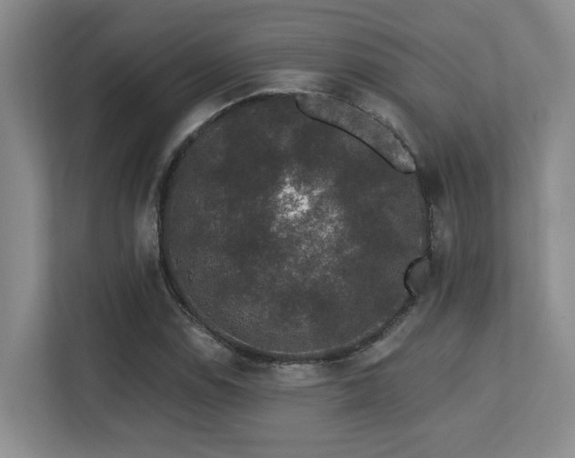 X0000113271114200909101513