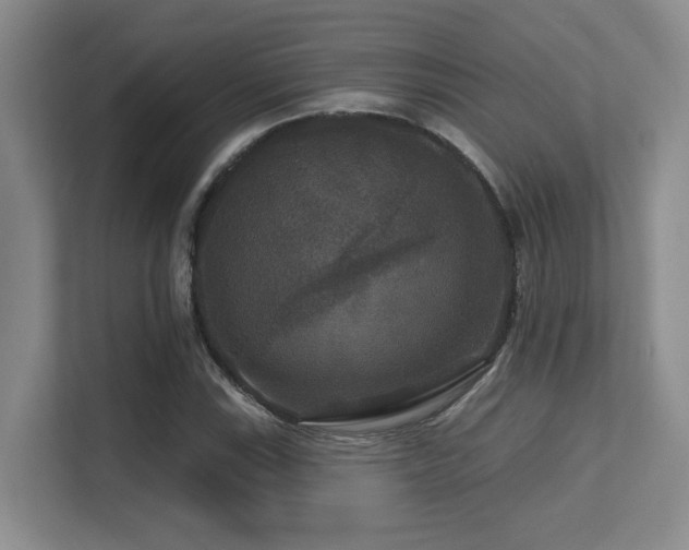 X0000113271115200909101513