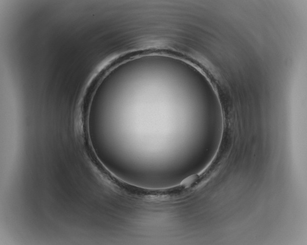 X0000113271118200909101513