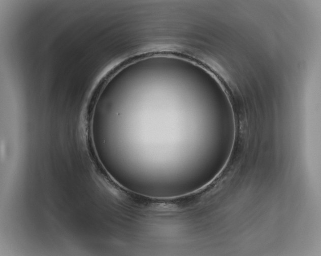 X0000113271119200909101513