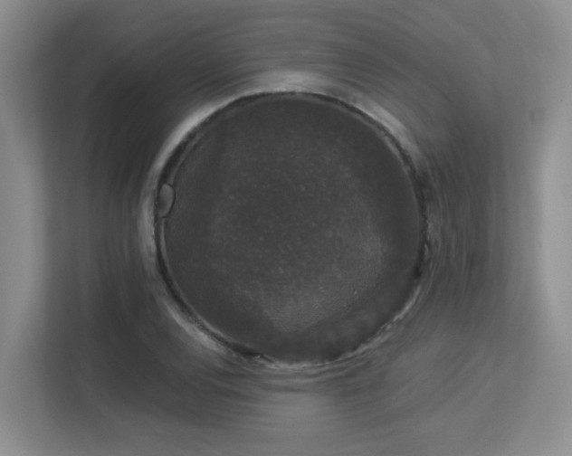 X0000113271120200909101513