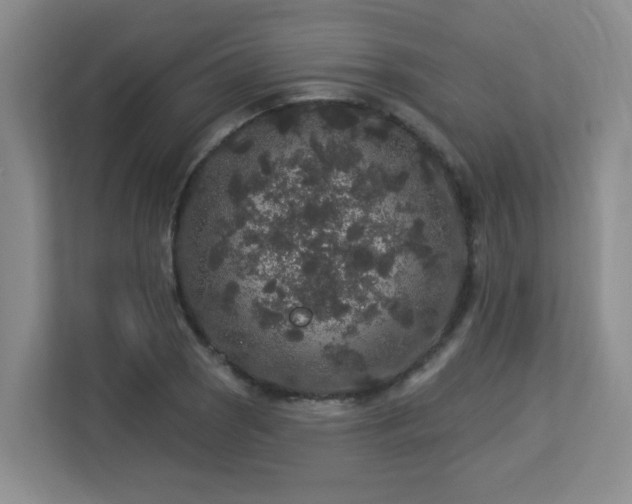 X0000113271121200909101513