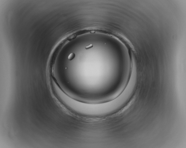 X0000113271122200909101513