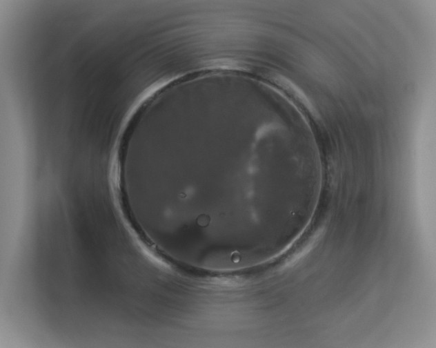 X0000113271125200909101513
