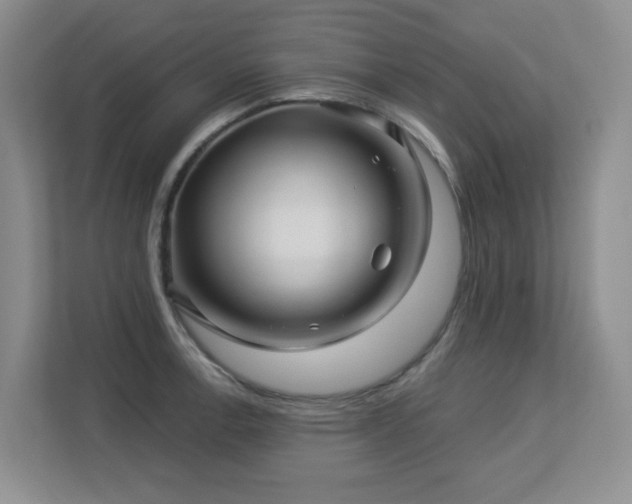 X0000113271138200909101514