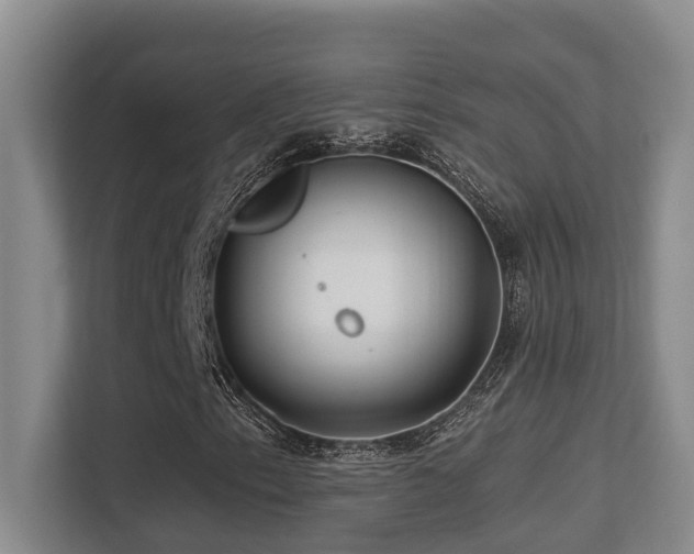 X0000113271153200909101513