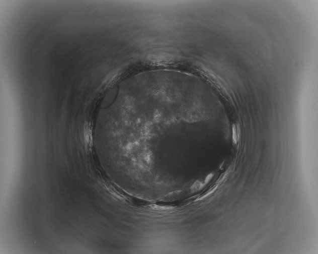 X0000113271155200909101513