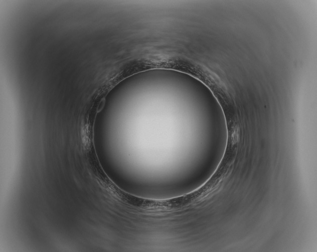 X0000113271156200909101513