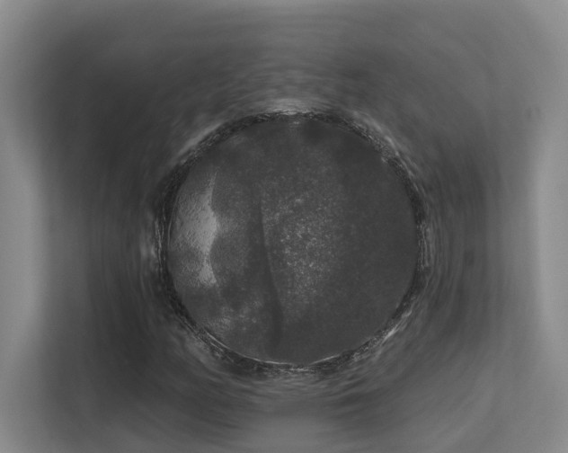 X0000113271158200909101513