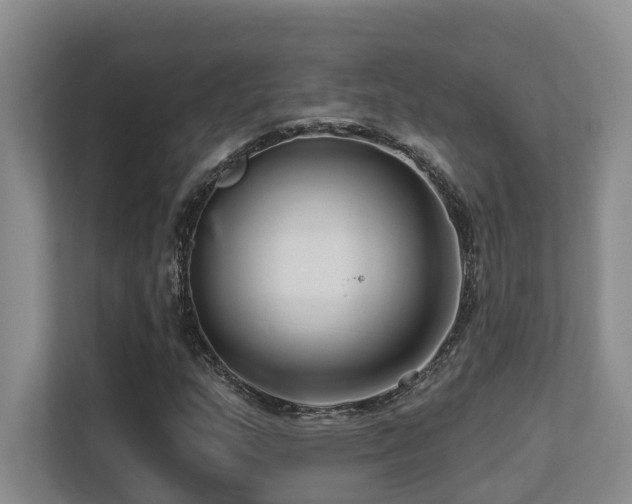 X0000113271159200909101513