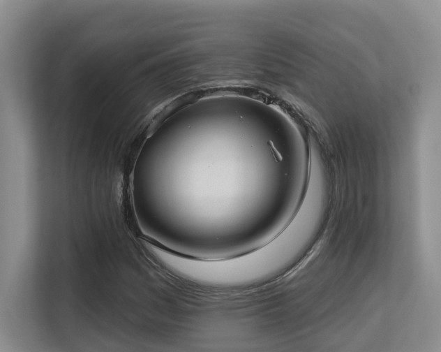 X0000113271161200909101513