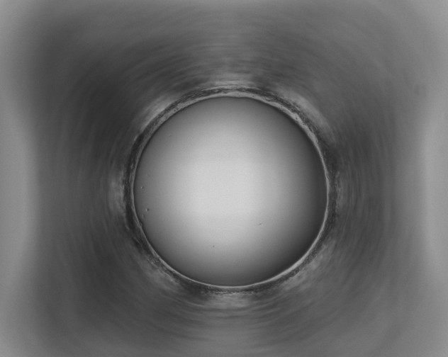 X0000113271162200909101513