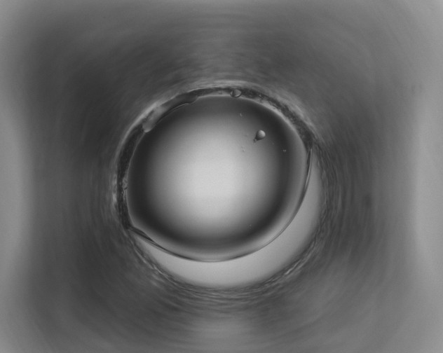 X0000113271165200909101513