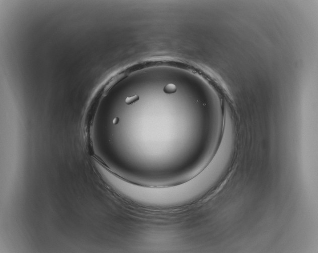 X0000113271167200909101513
