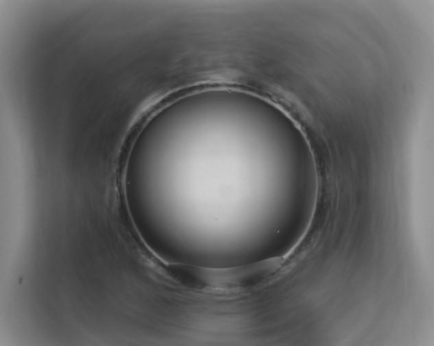 X0000113271168200909101513