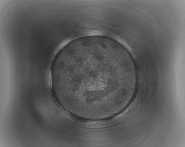 X0000113271171200909101513