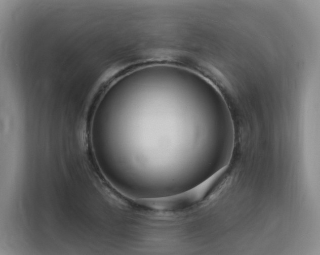 X0000113271172200909101513