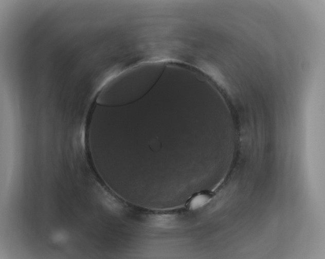 X0000113271173200909101513