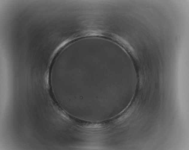 X0000113271174200909101513