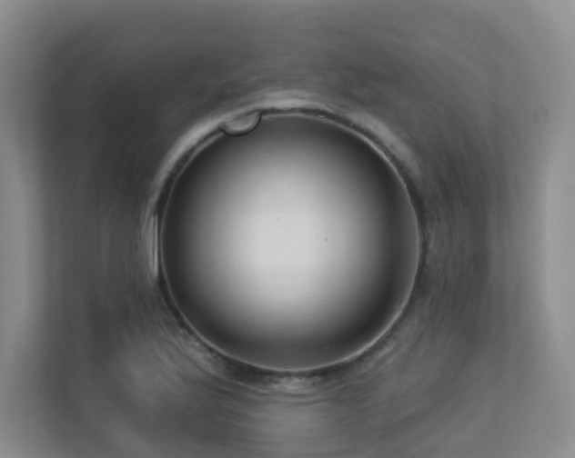 X0000113271175200909101513
