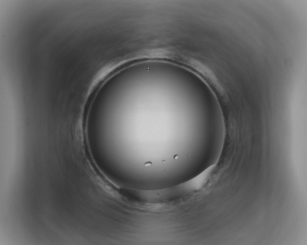 X0000113271176200909101513