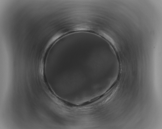 X0000113271179200909101513