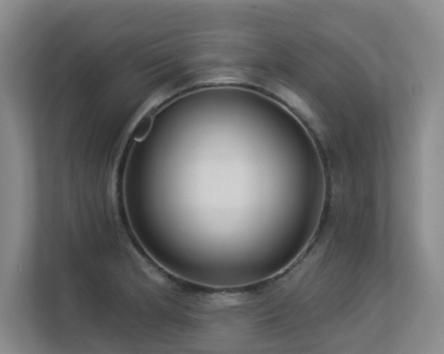 X0000113271181200909101513