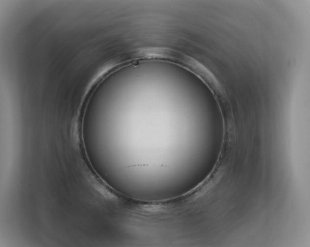 X0000113271182200909101513