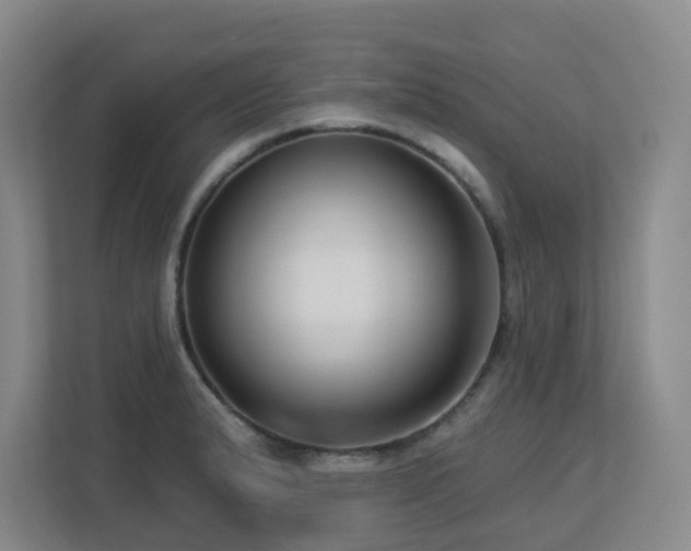X0000113271183200909101513