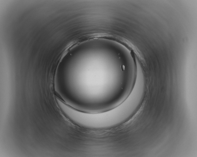 X0000113271185200909101513