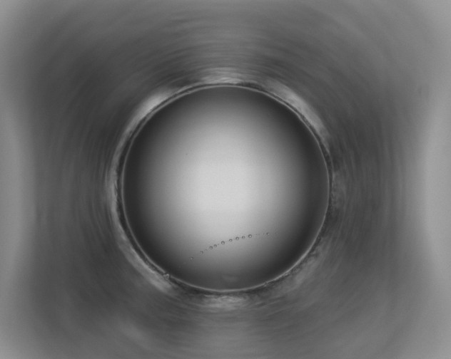 X0000113271187200909101513