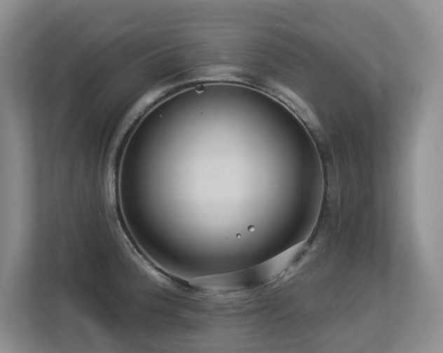X0000113271188200909101513