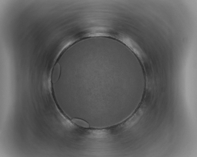 X0000113271189200909101513