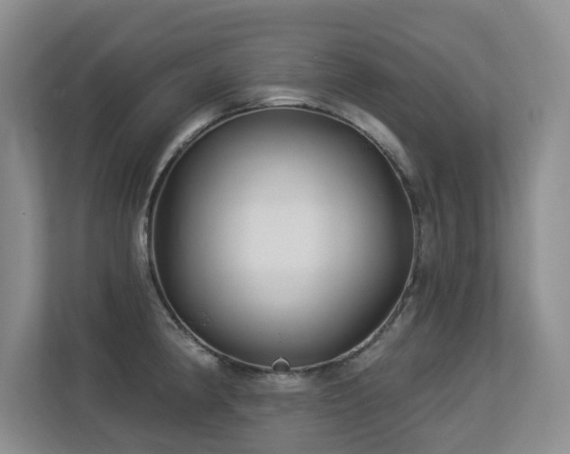 X0000113271190200909101513